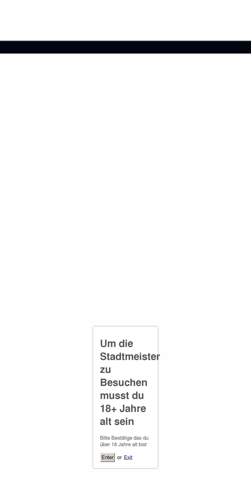 stadtmeister.ch shopify website screenshot