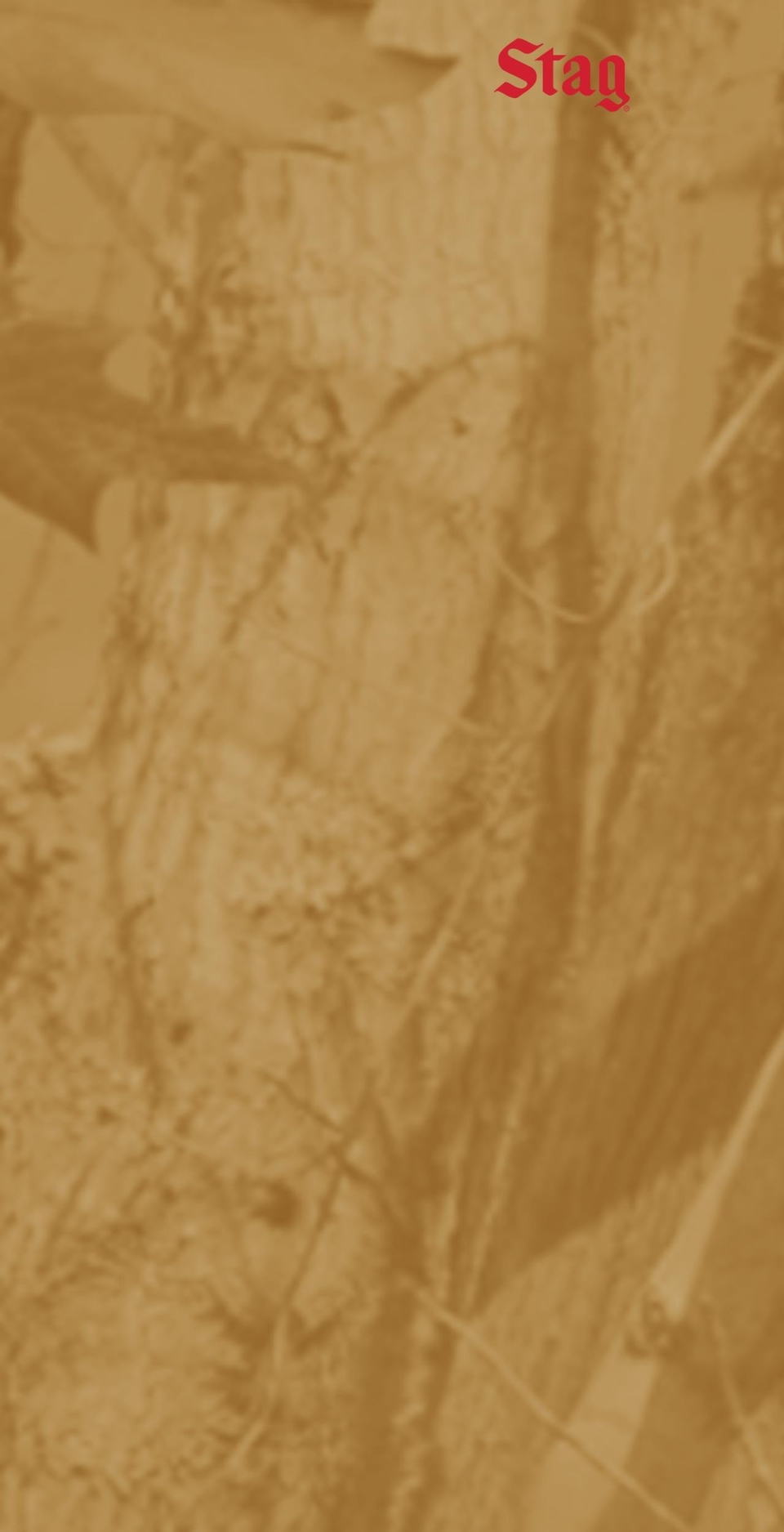 stag-beer.com shopify website screenshot