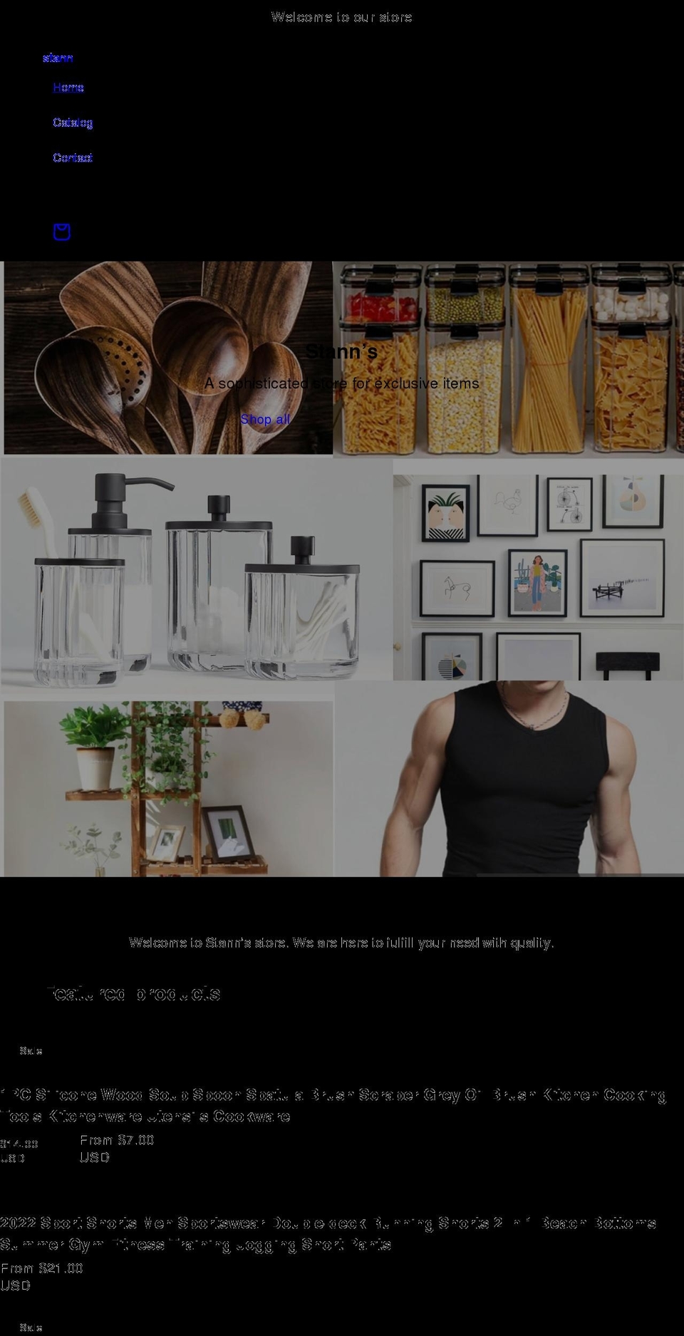 stannn.com shopify website screenshot