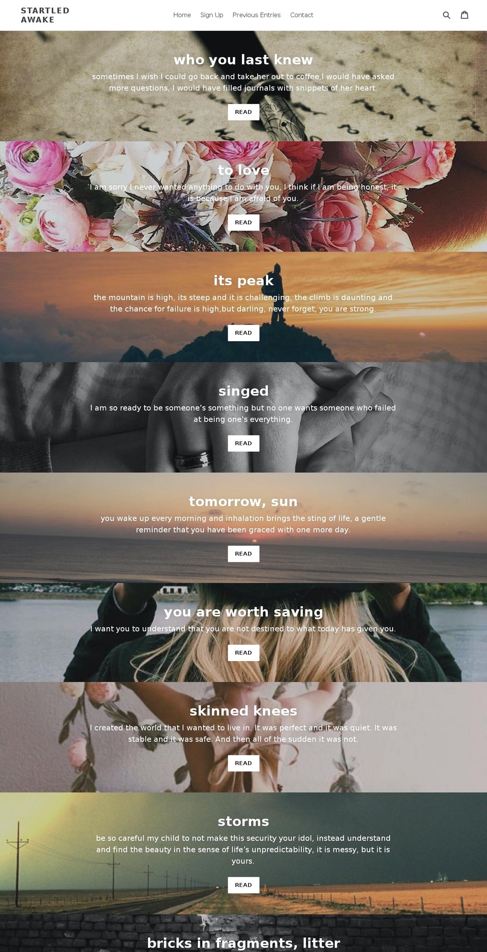 startledawake.org shopify website screenshot