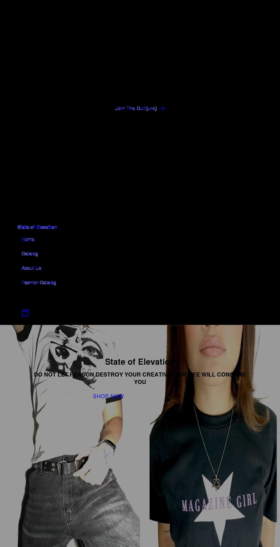 stateofelevation.com shopify website screenshot