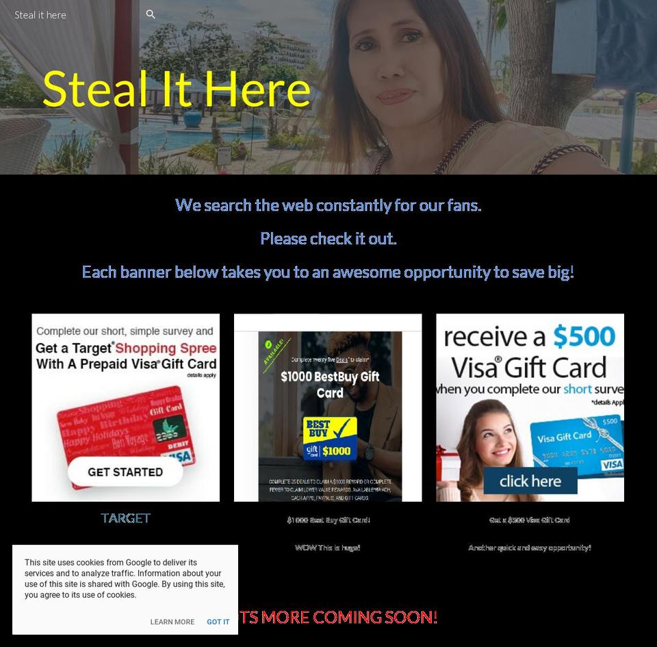 stealithere.com — Shopify storefront screenshot