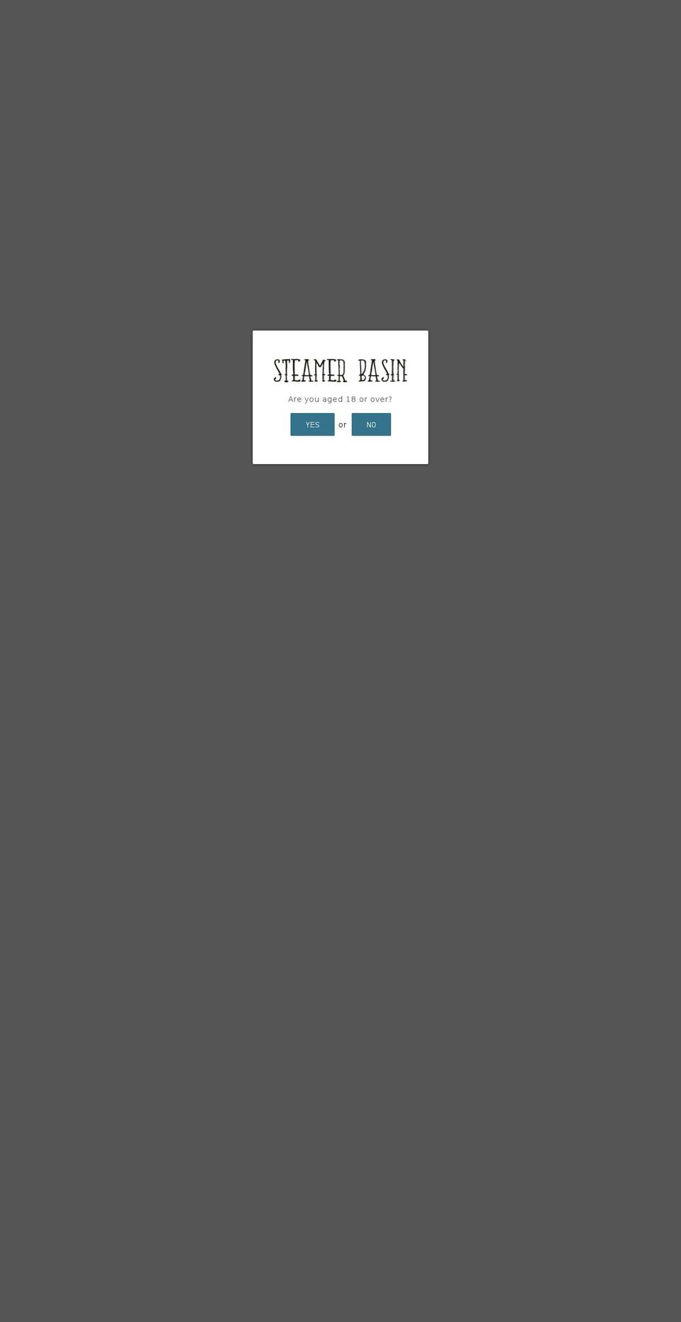 steamerbasin.com — Shopify storefront screenshot