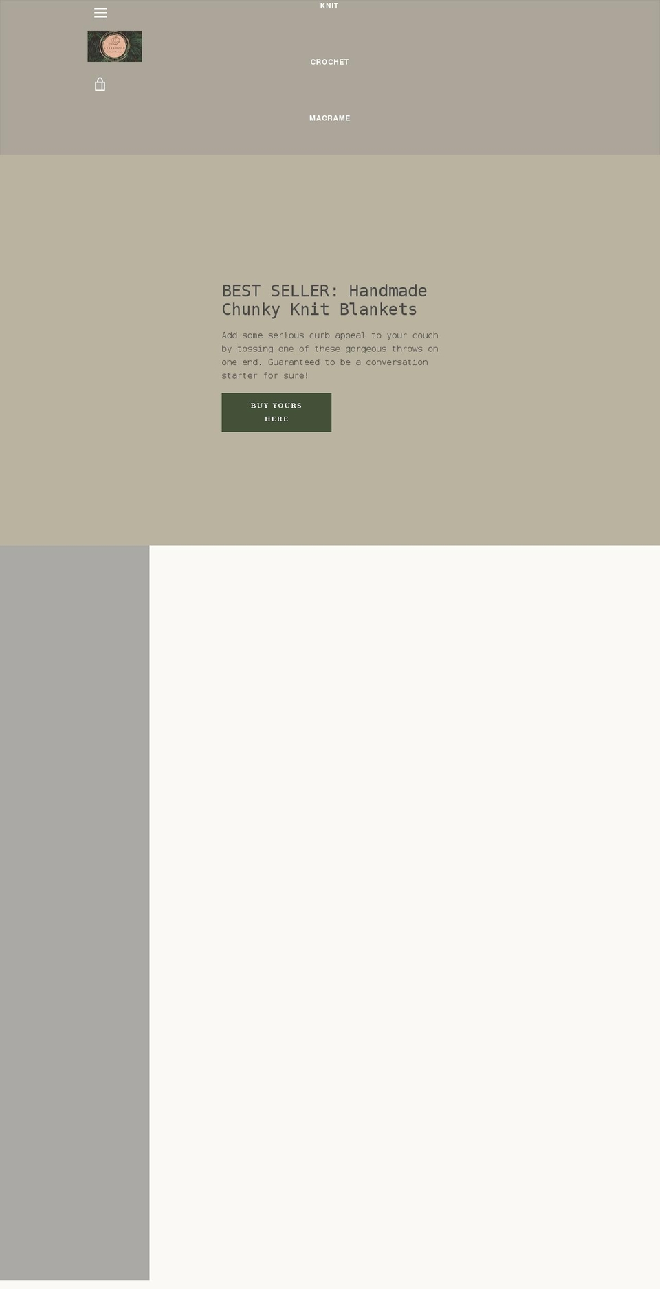 steeldagr.com shopify website screenshot