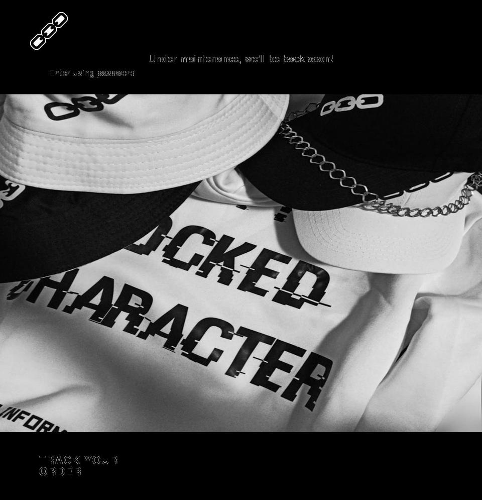 steelysound.com shopify website screenshot