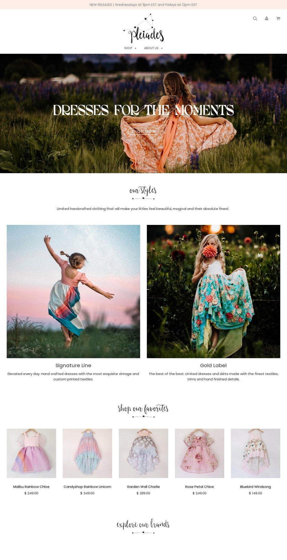 stellarkidco.com — Shopify storefront screenshot