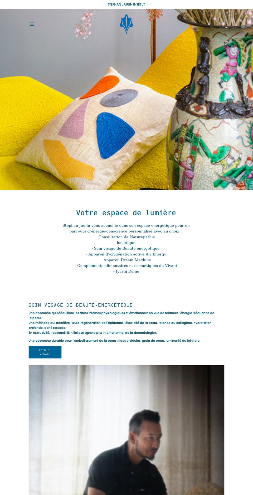 stephanjaulininstitut.com shopify website screenshot