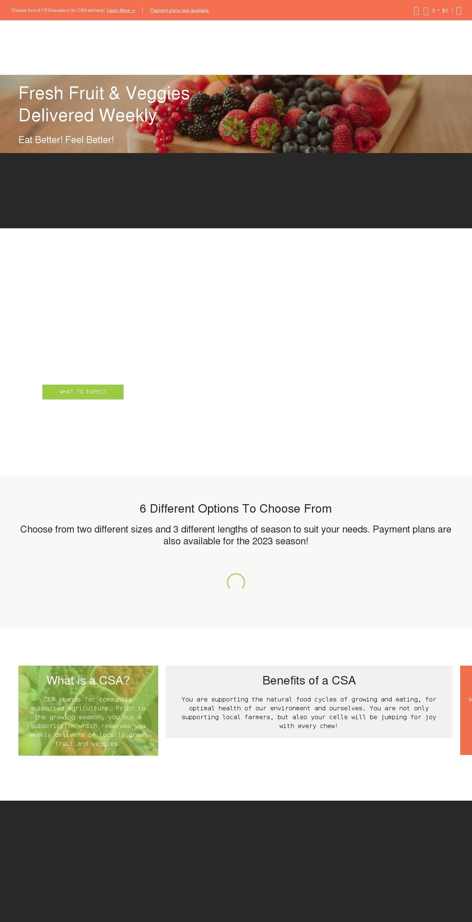 steveanddansonlinemarket.ca shopify website screenshot