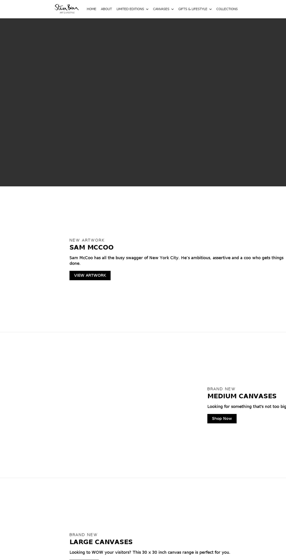 stevenbrownart.com shopify website screenshot