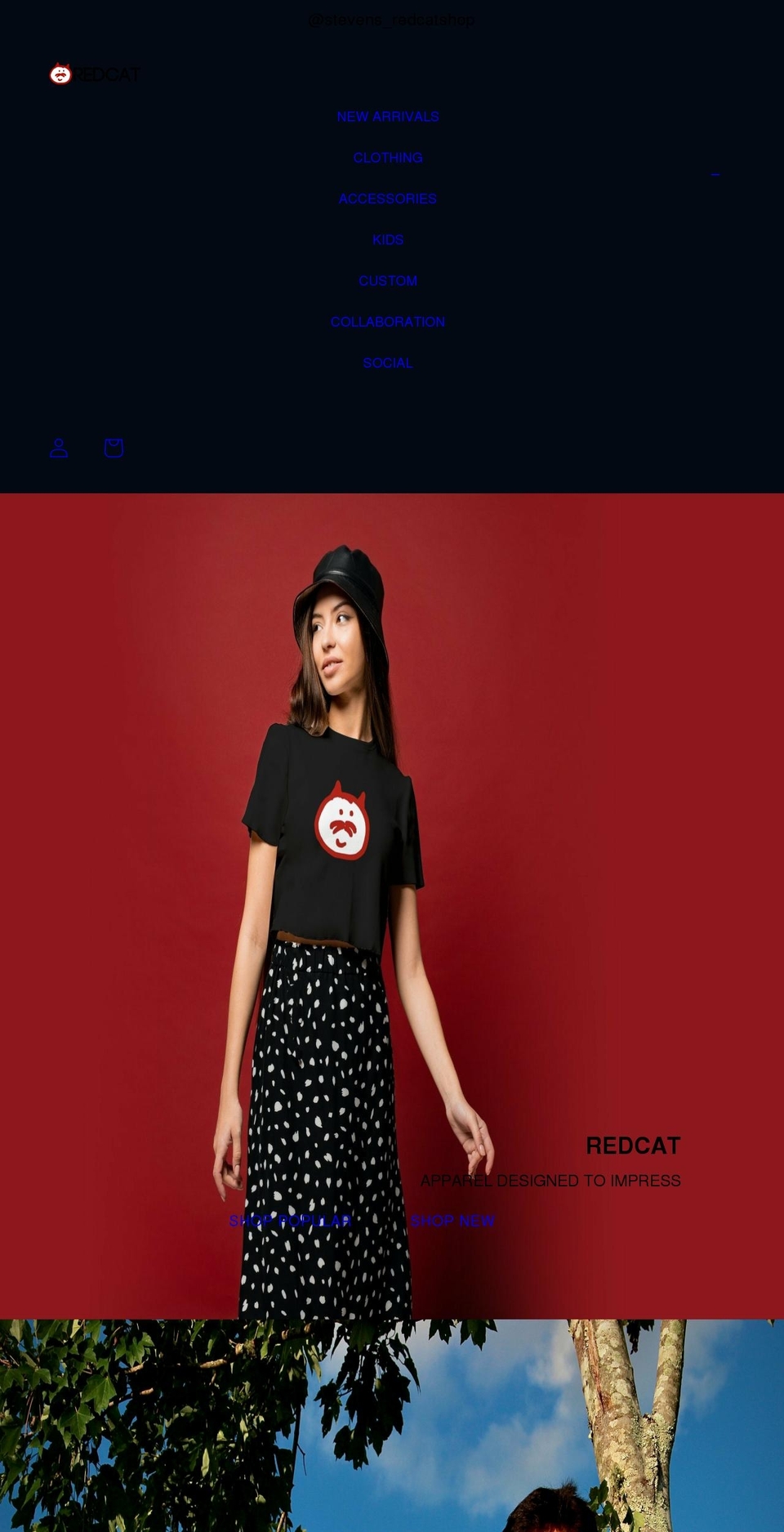 stevenhao.org shopify website screenshot