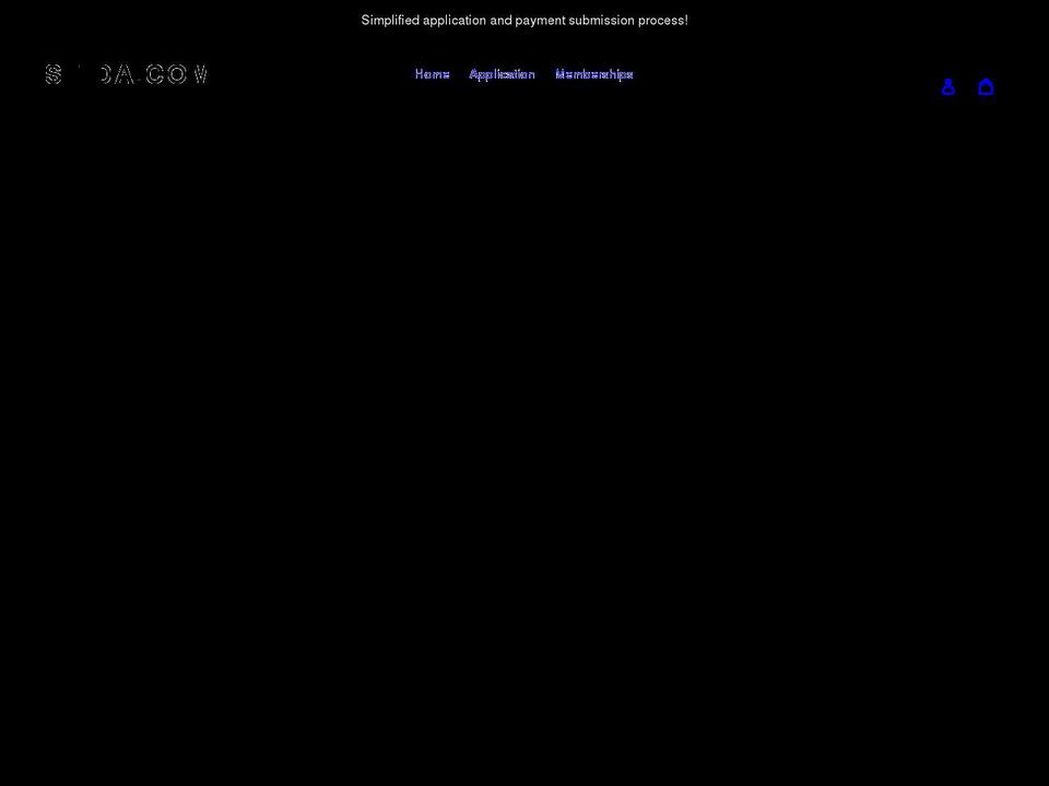 stida.com shopify website screenshot
