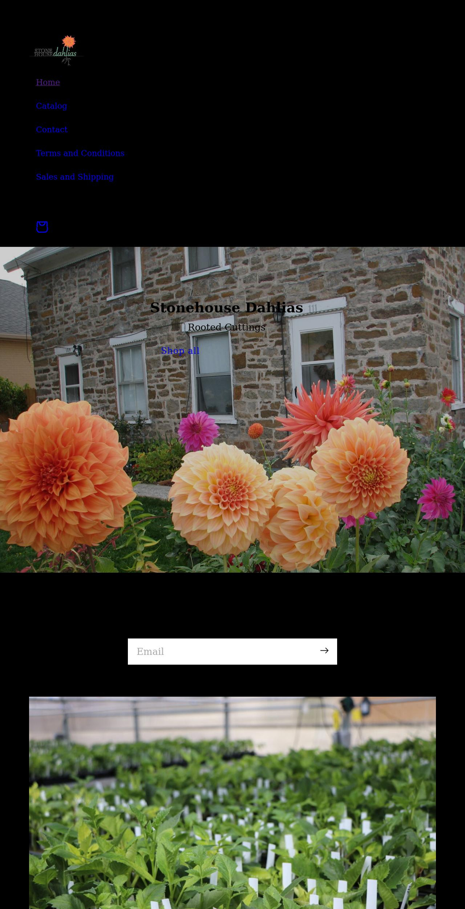 stonehousedahlias.com shopify website screenshot