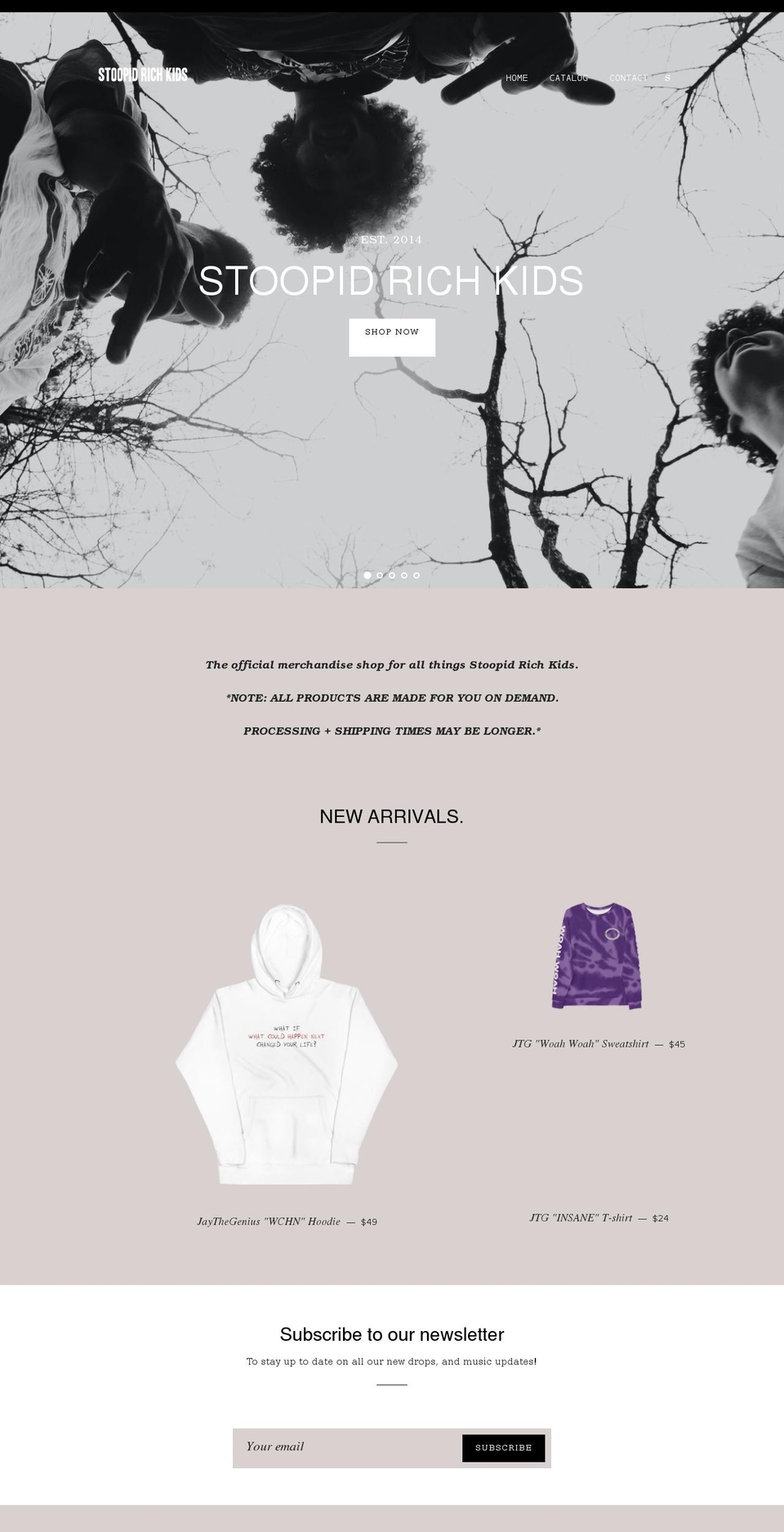 22 Shopify theme site example stoopidrichkids.com