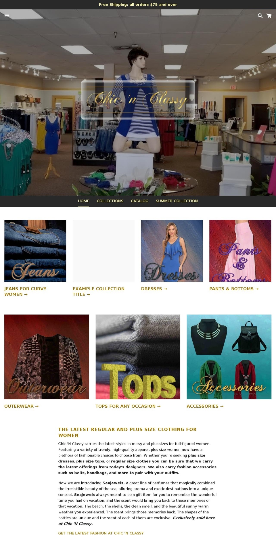 store.chicnclassy.com — Shopify storefront screenshot