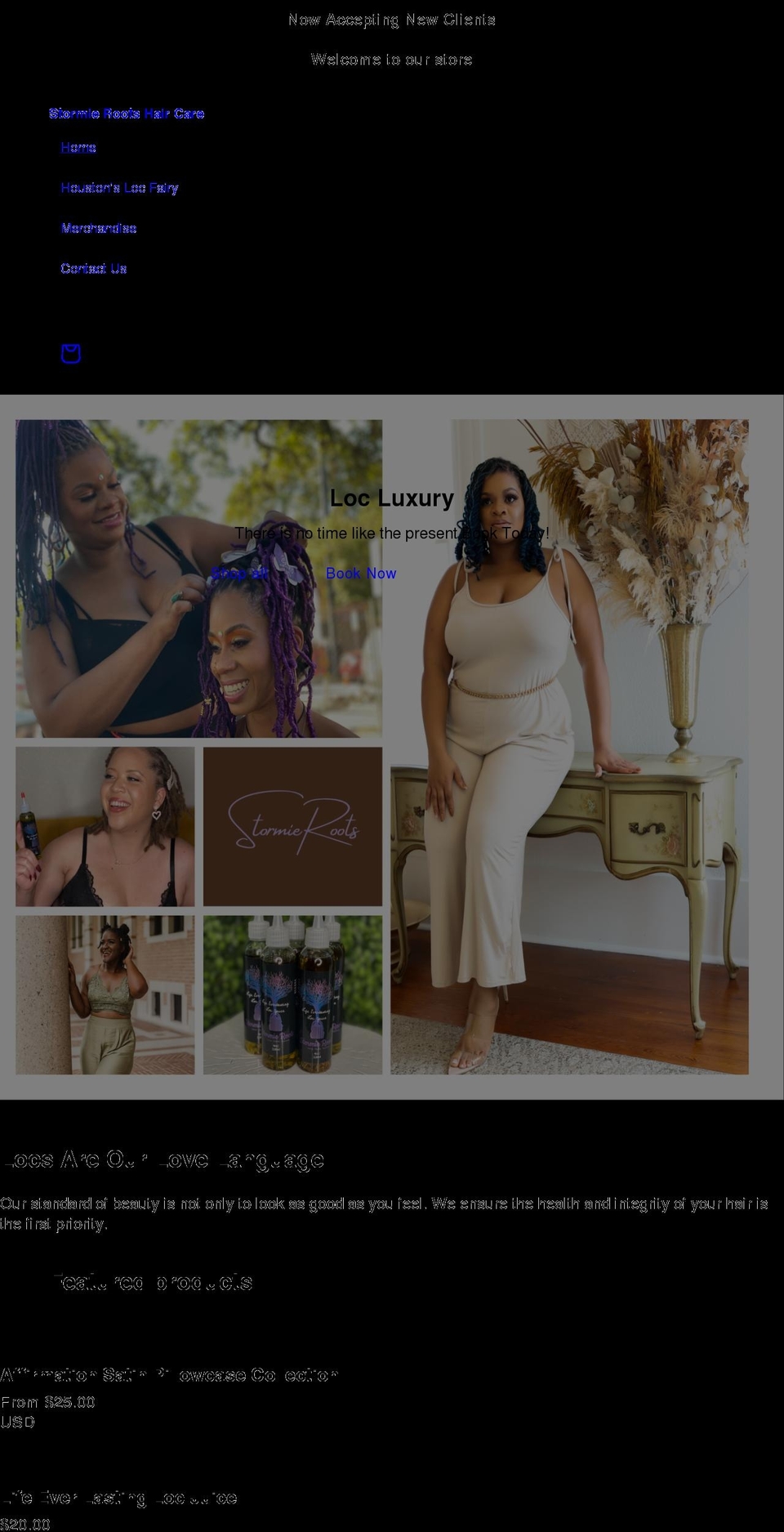 stormierootsstudios.com shopify website screenshot