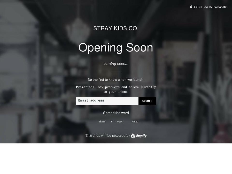 straykidsco.com shopify website screenshot