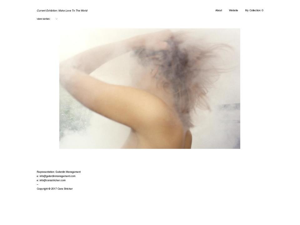 strickergallery.com shopify website screenshot