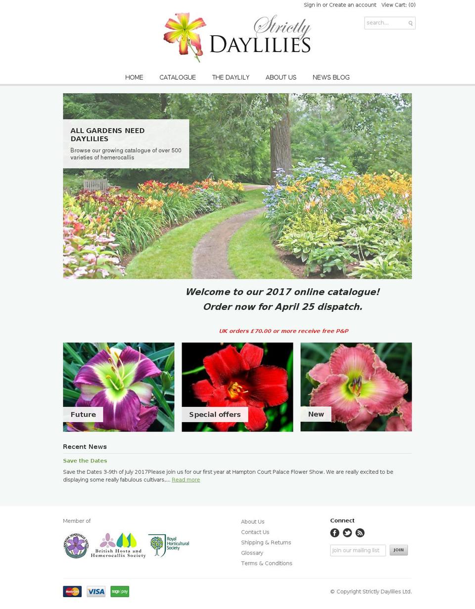 strictlydaylilies.com shopify website screenshot