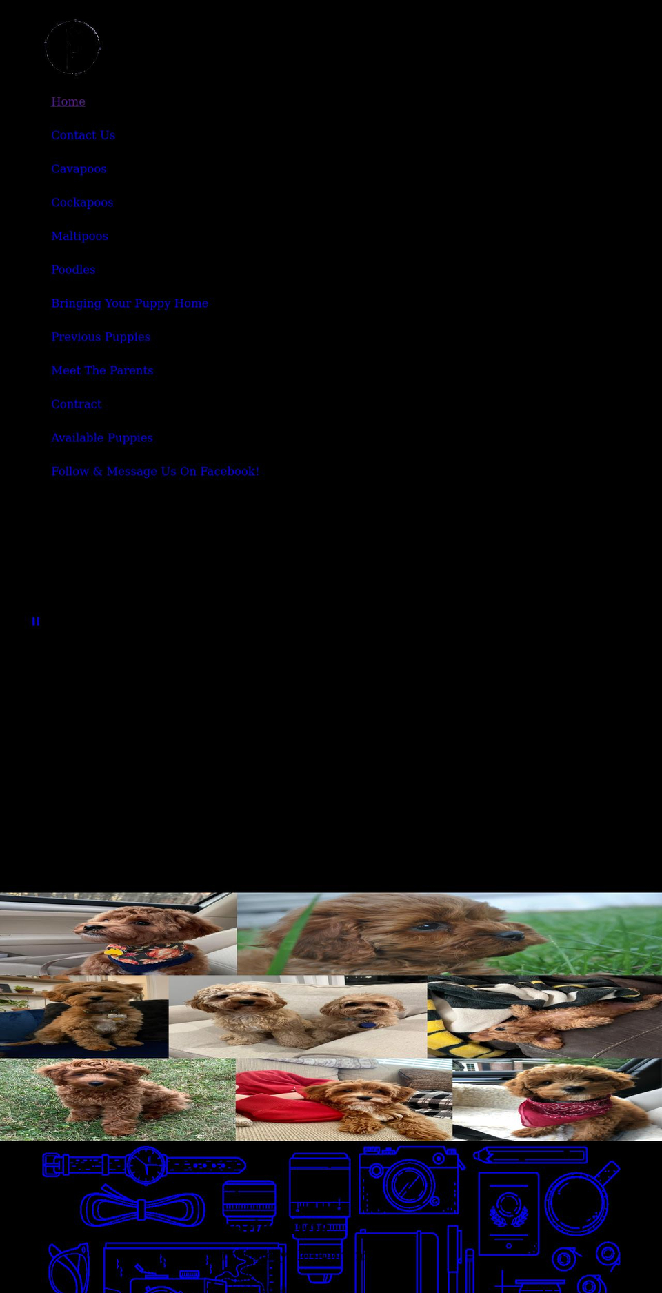 stumpfarmpuppies.com shopify website screenshot