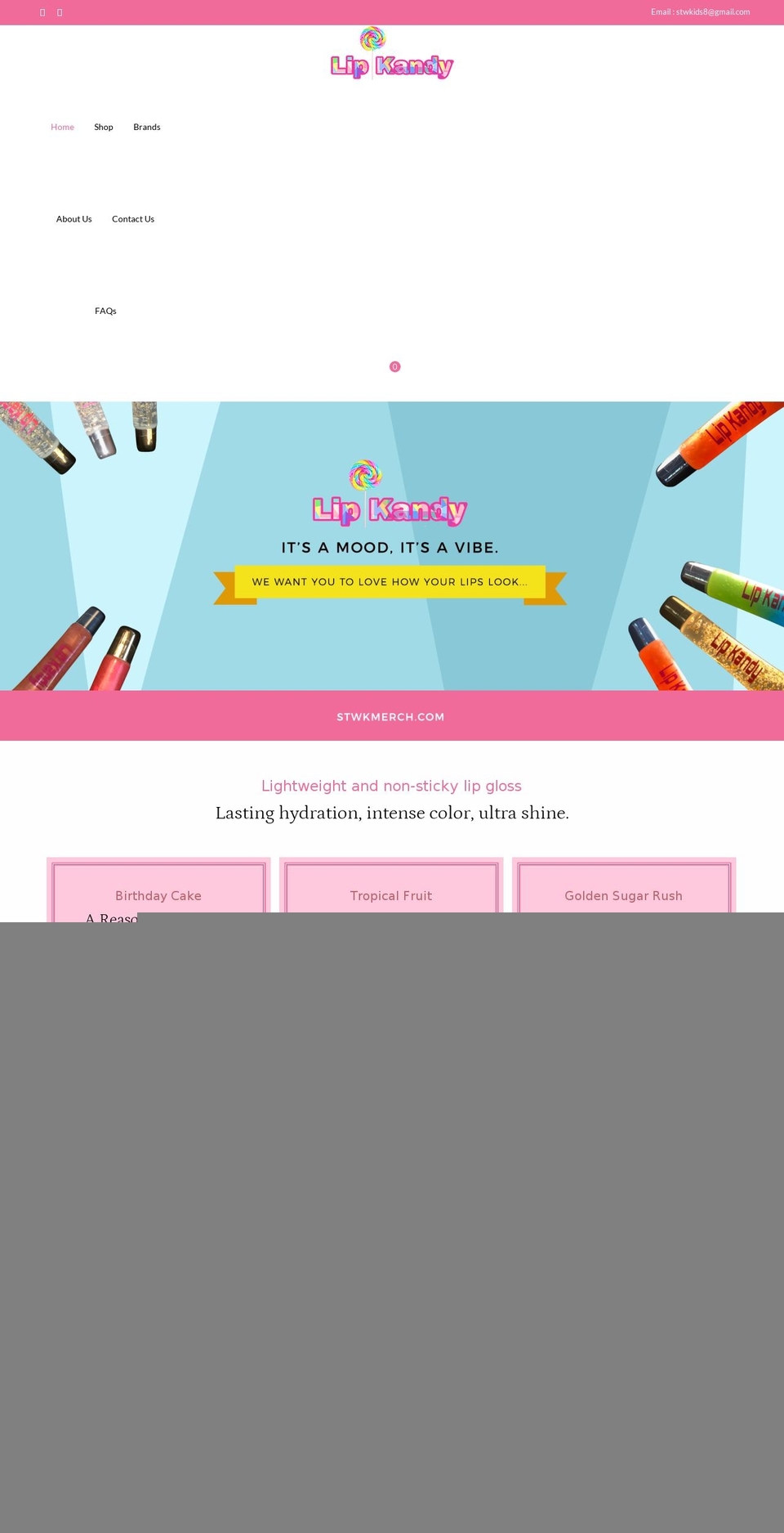 stwkmerch.com shopify website screenshot