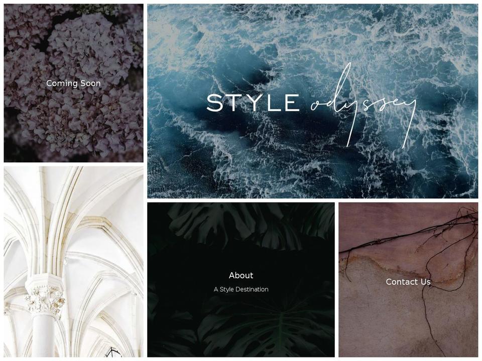 style-odyssey.com — Shopify storefront screenshot