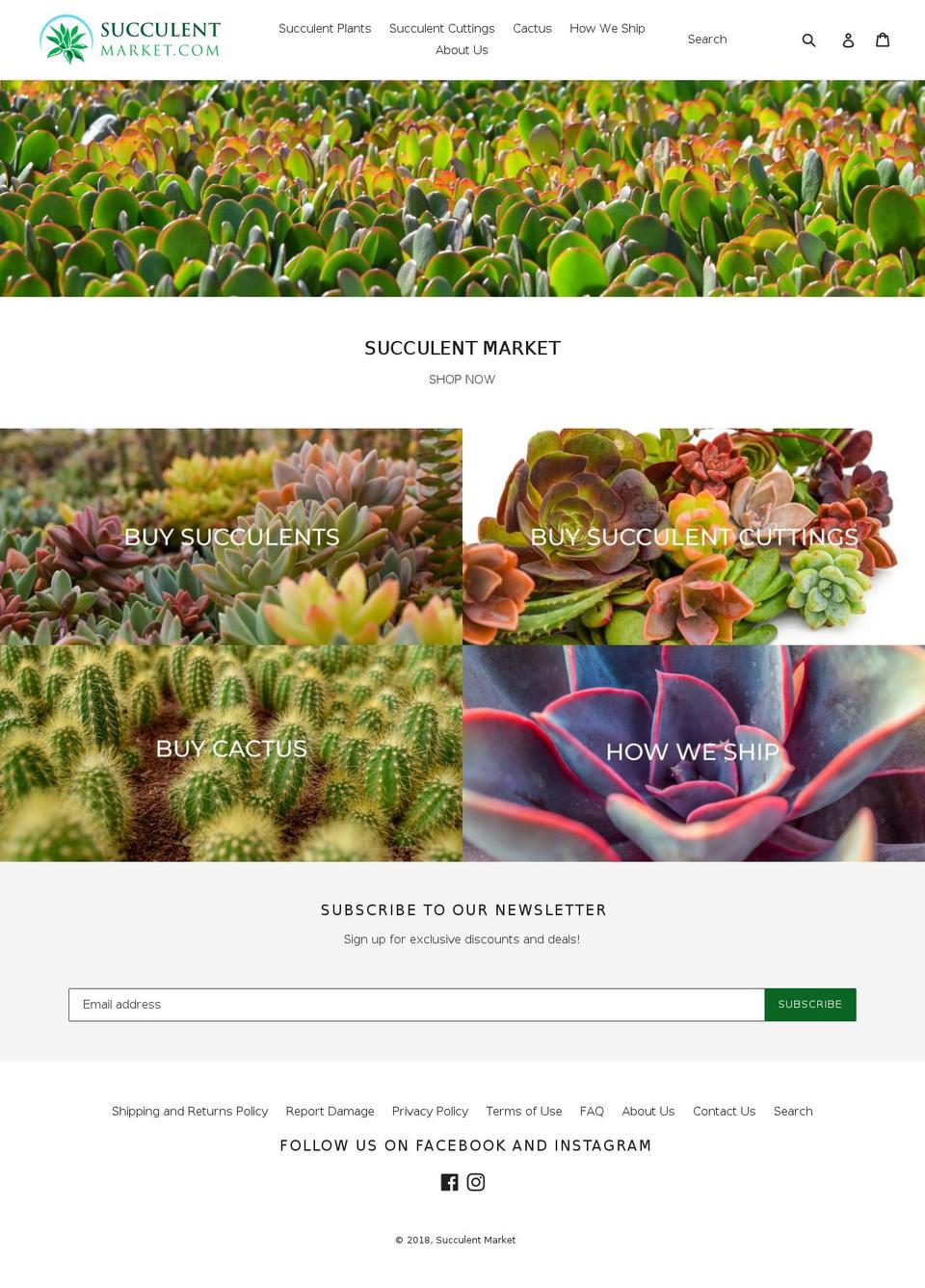 succulentmarket.com shopify website screenshot
