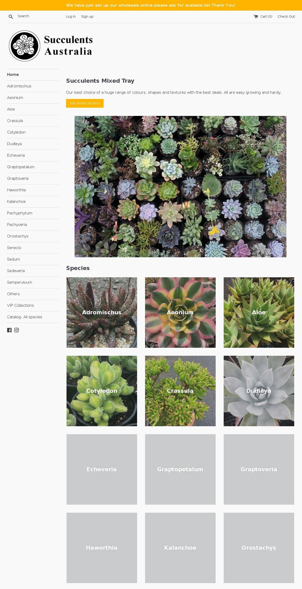 succulents-australia.online shopify website screenshot