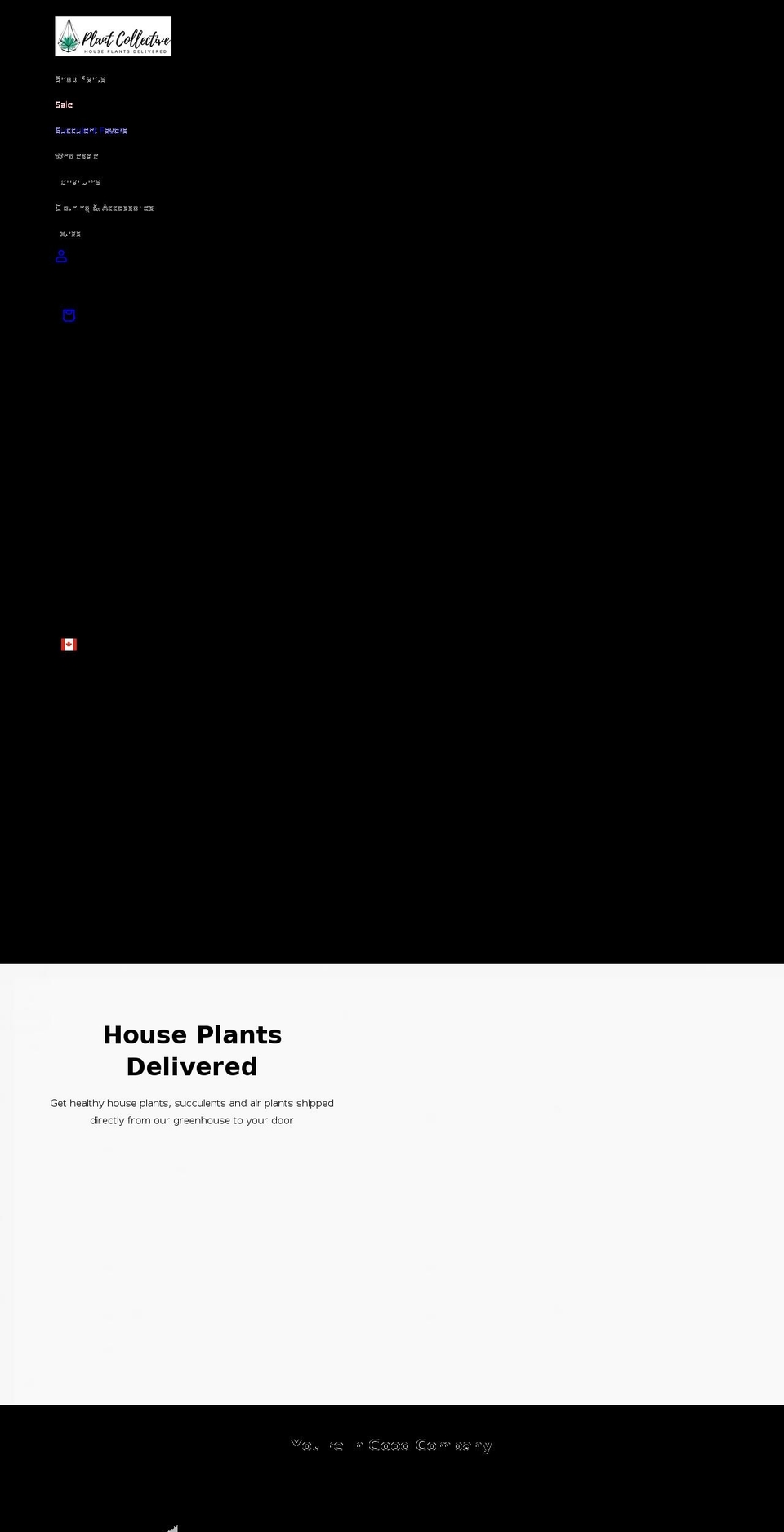 succuterra.ca shopify website screenshot