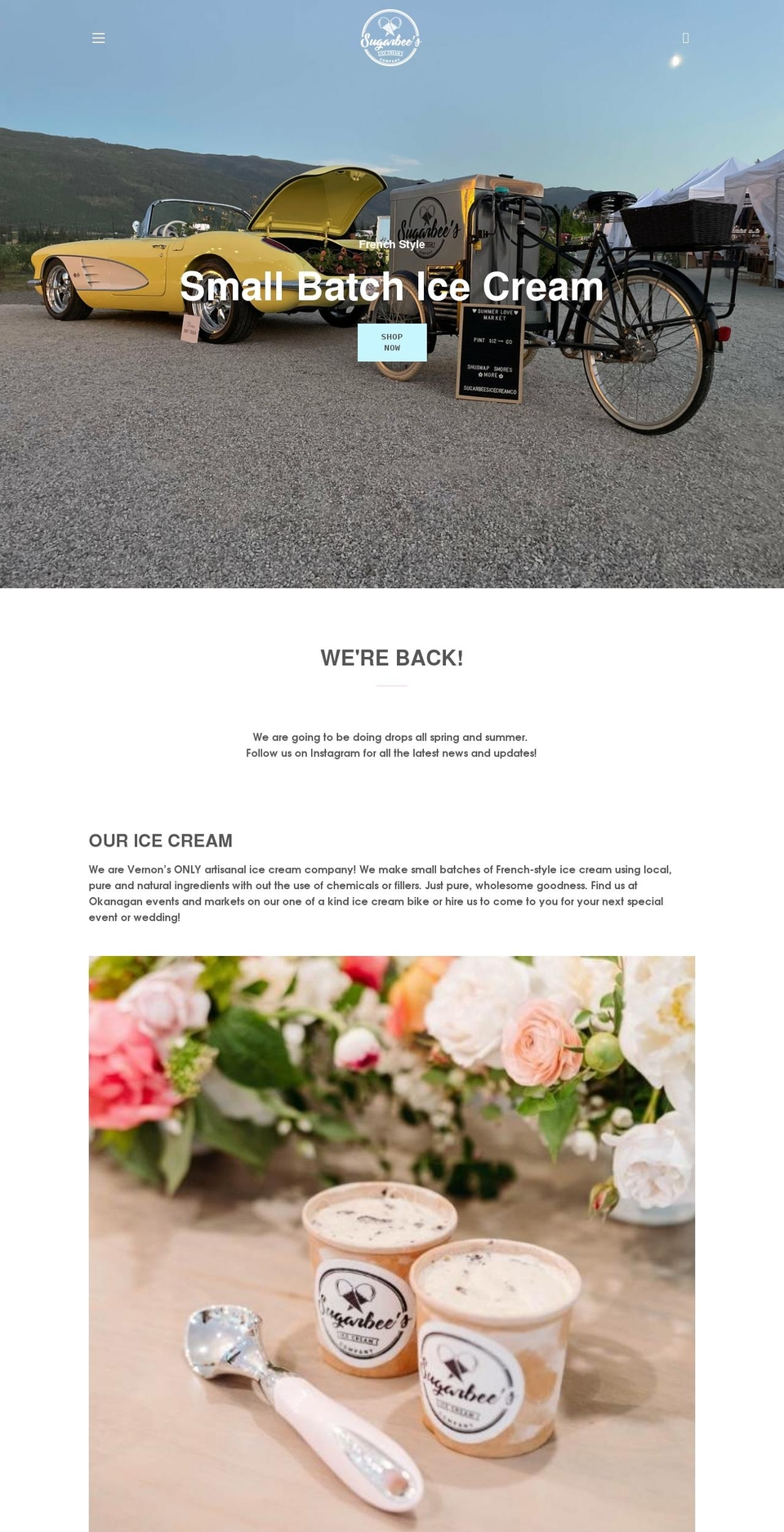 sugarbeesicecream.com shopify website screenshot