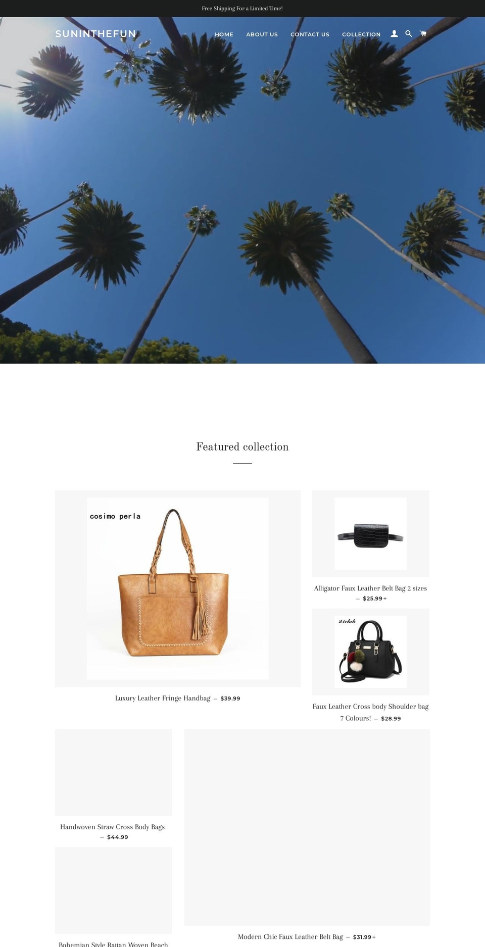 suninthefun.com — Shopify storefront screenshot