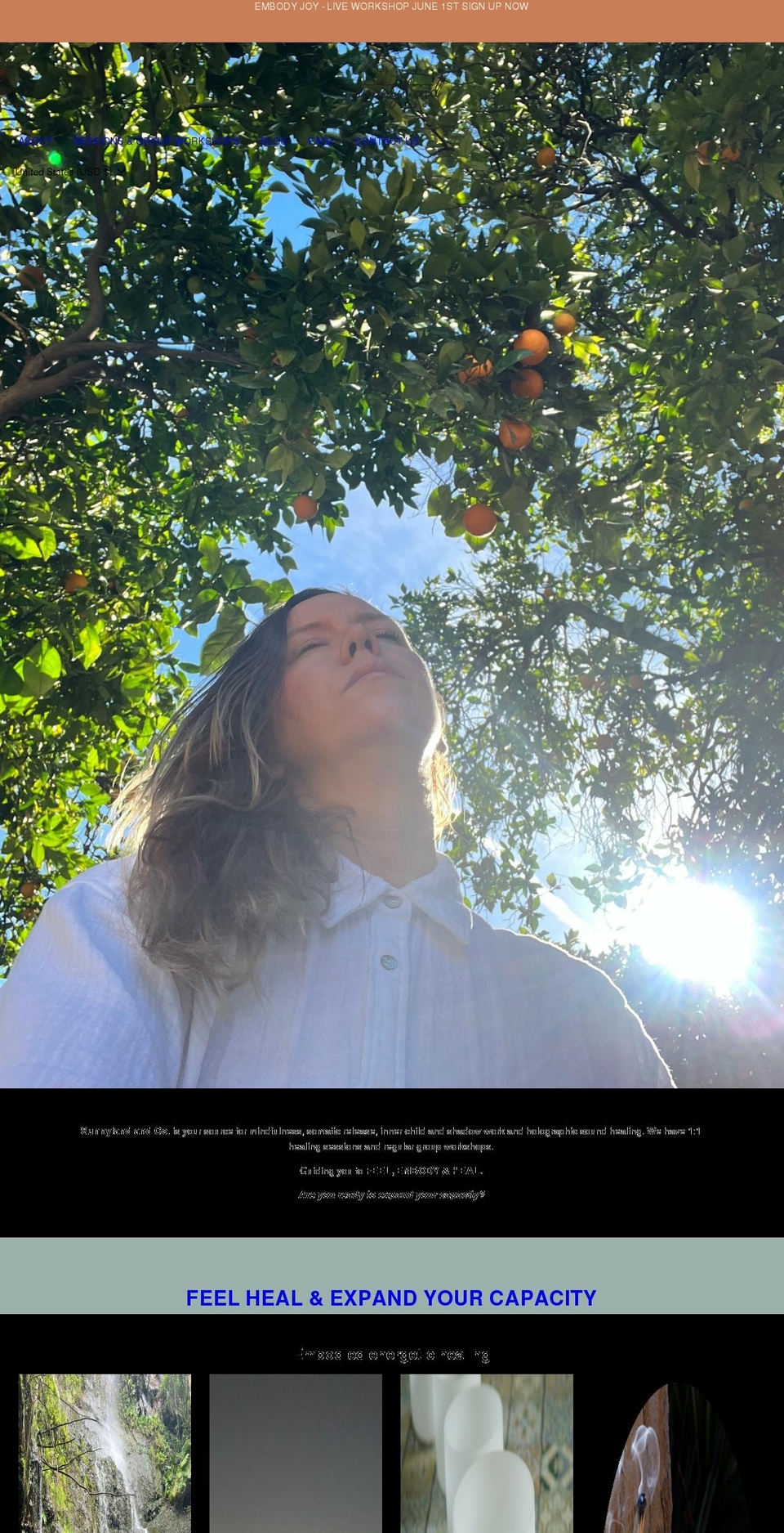 sunnylandandco.com shopify website screenshot