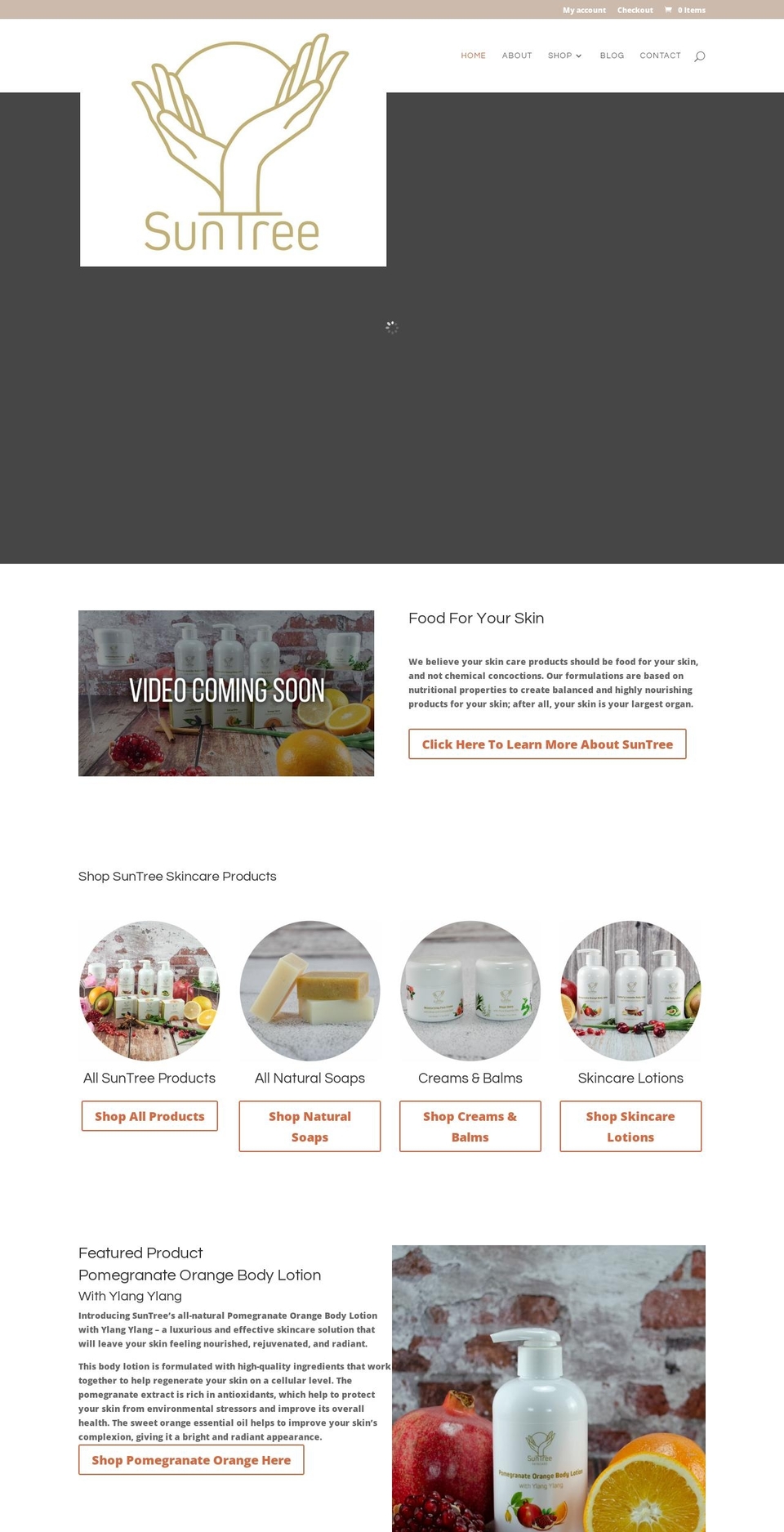 suntreeskincare.com shopify website screenshot