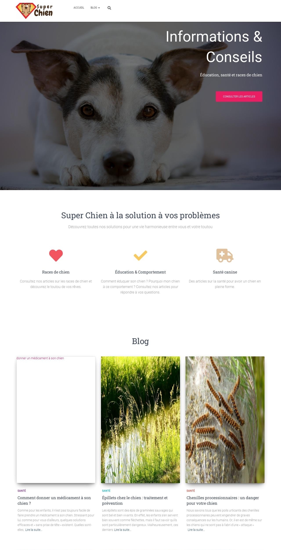 super-chien.fr shopify website screenshot