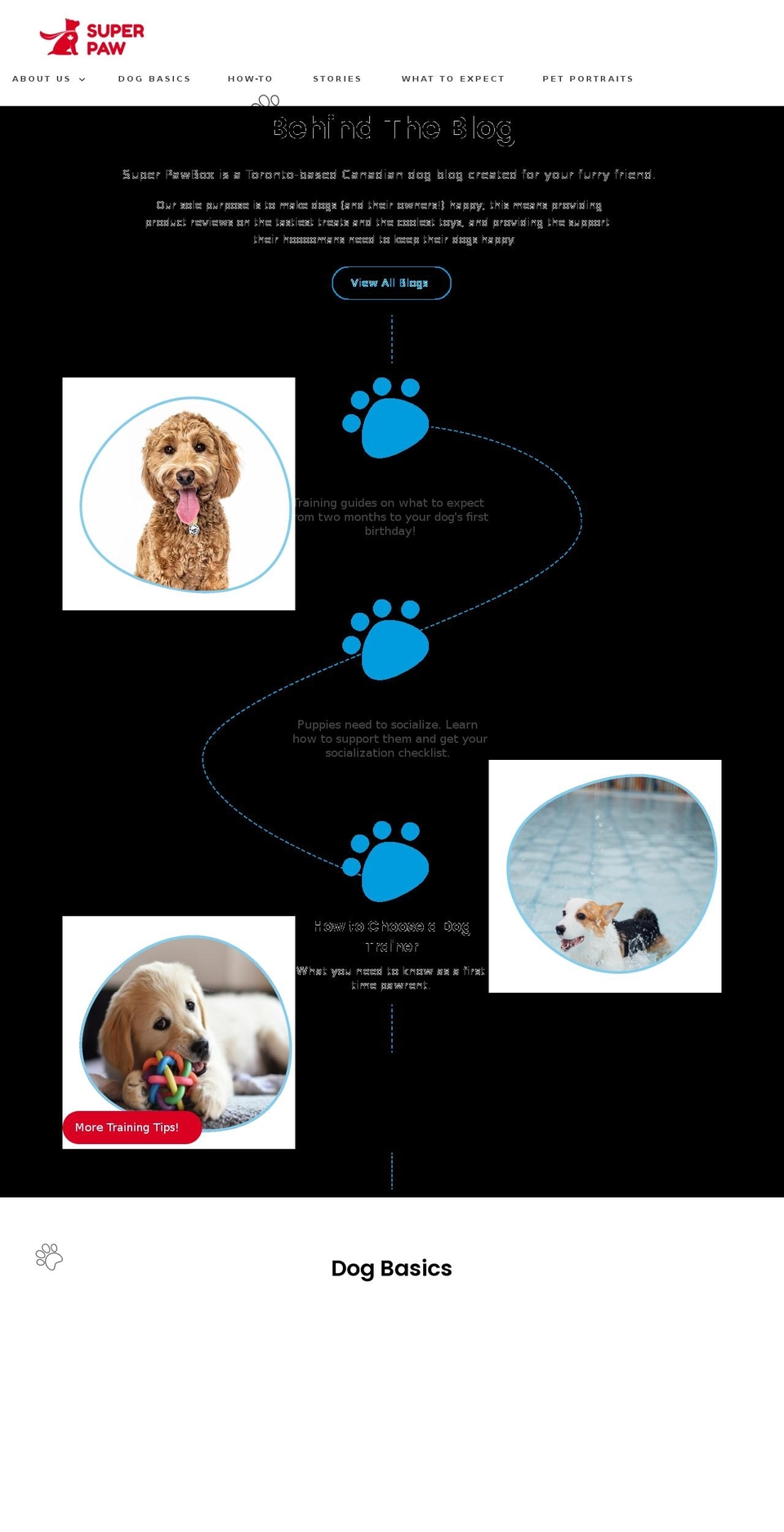 superpawbox.com shopify website screenshot