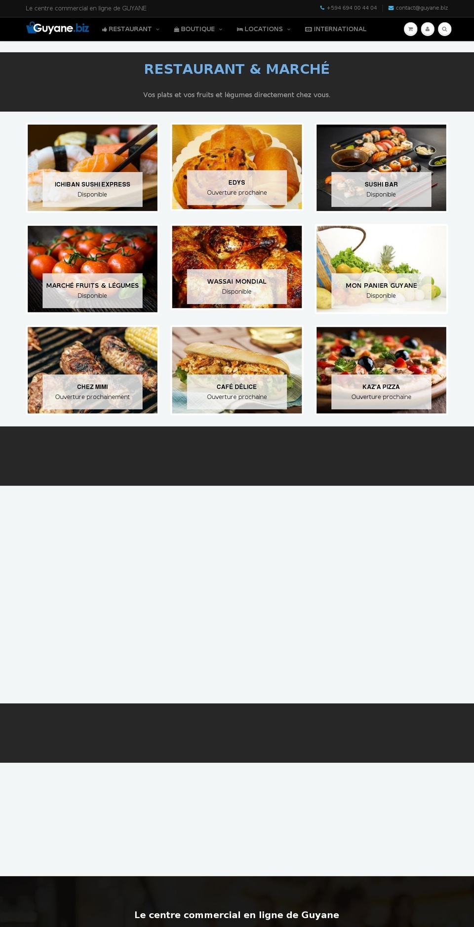 surinam.biz shopify website screenshot