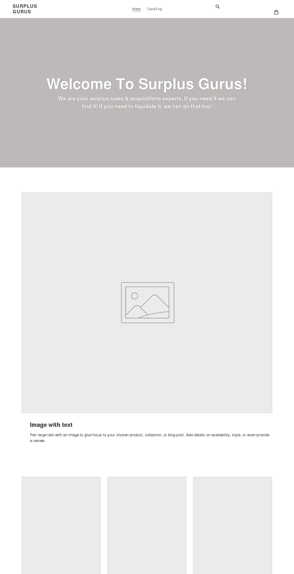 surplusgurus.com shopify website screenshot