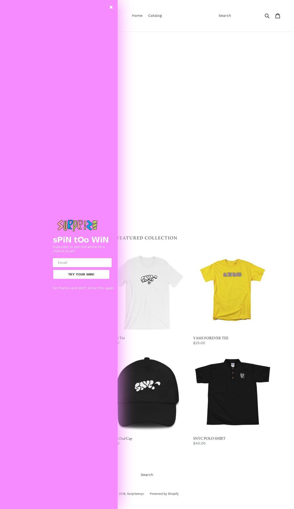 surpriseny.com shopify website screenshot