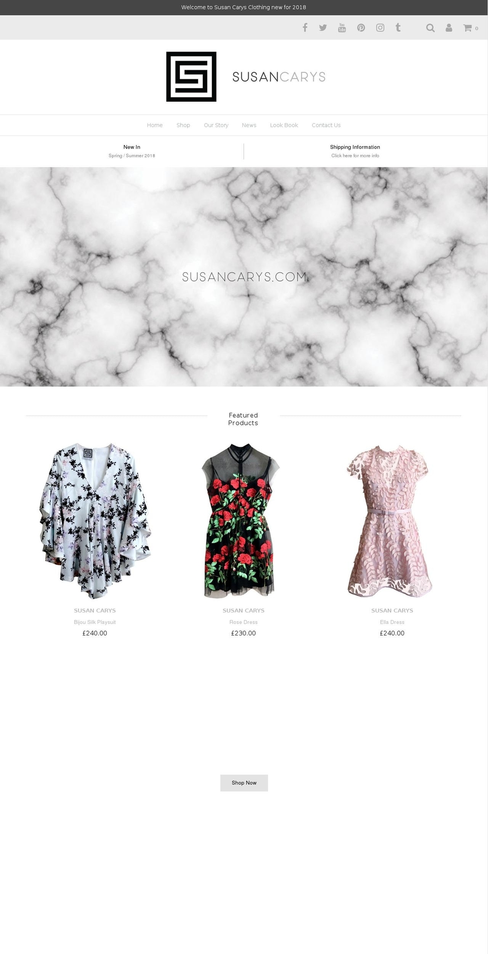 susancarys.com shopify website screenshot