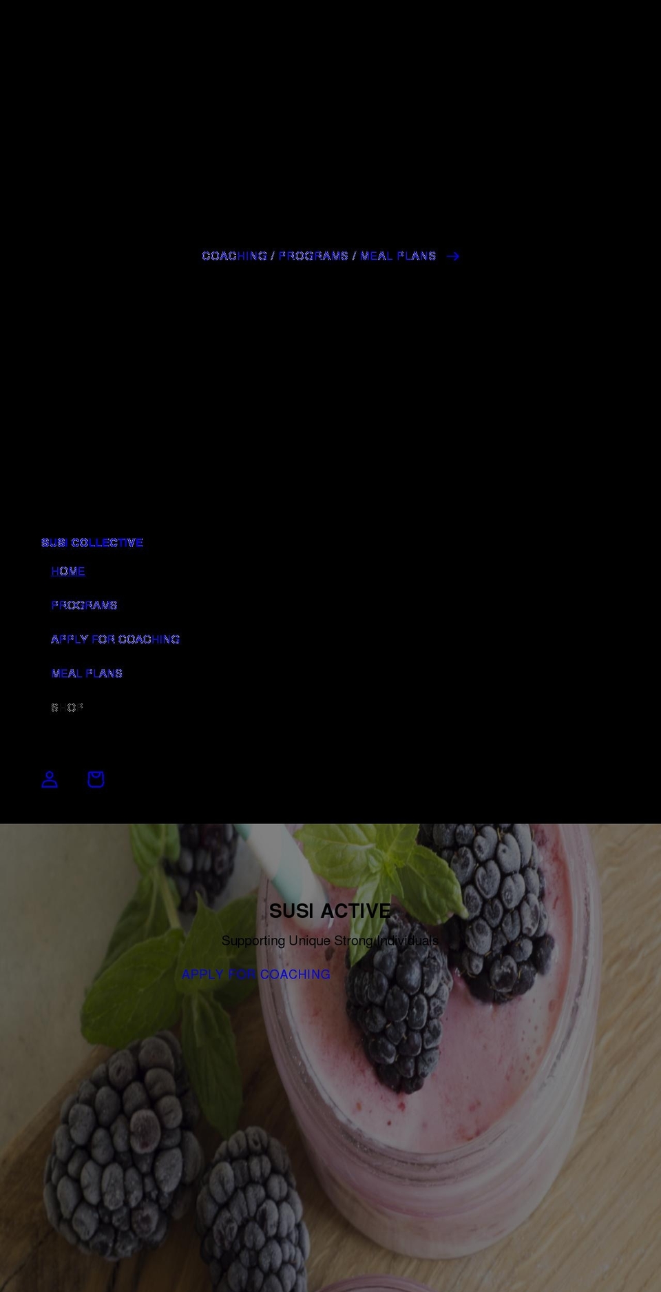 susicollective.com shopify website screenshot