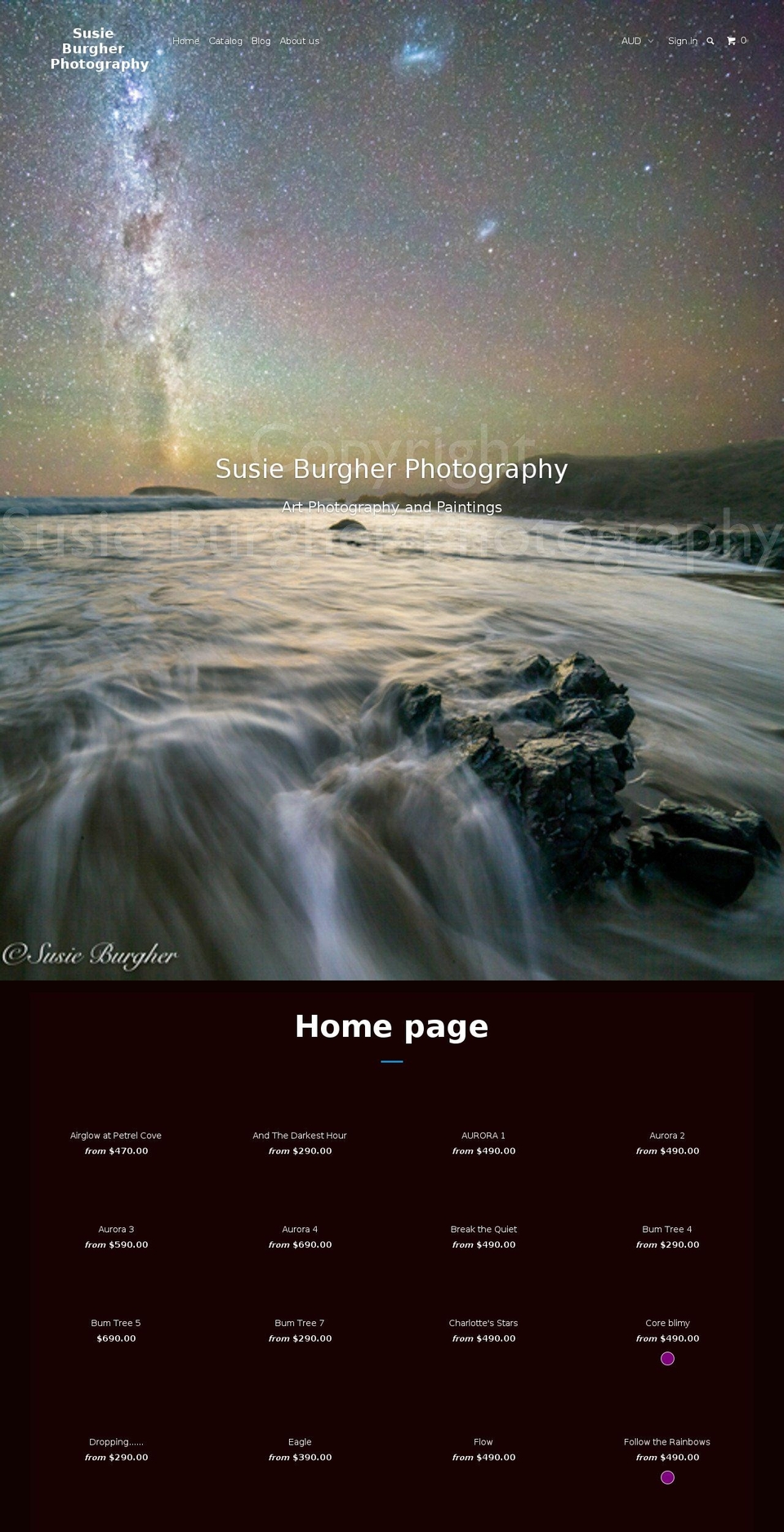susieburgherphotography.com shopify website screenshot