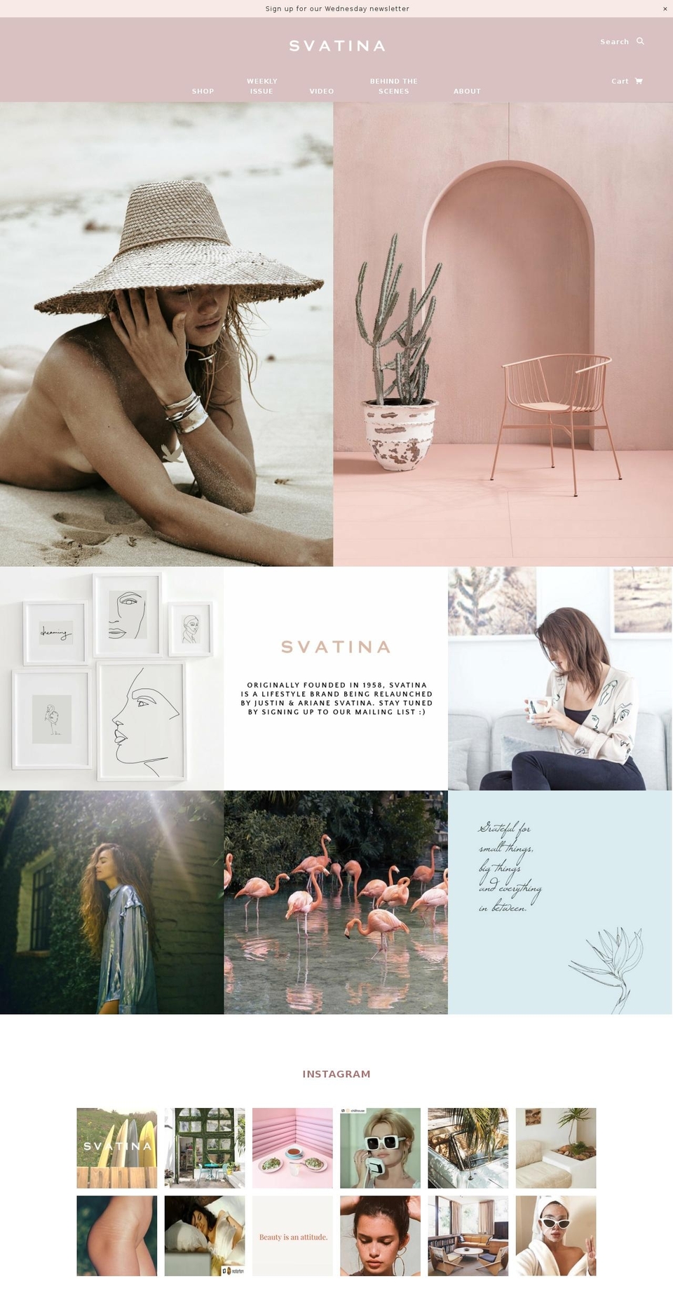svatina.com — Shopify storefront screenshot