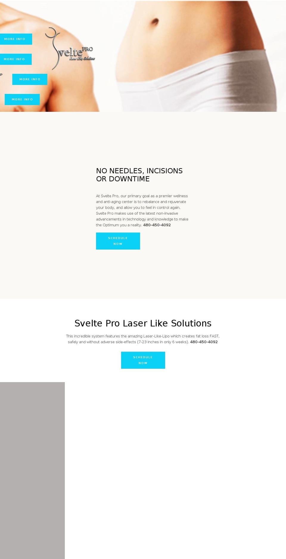 sveltepro.com — Shopify storefront screenshot
