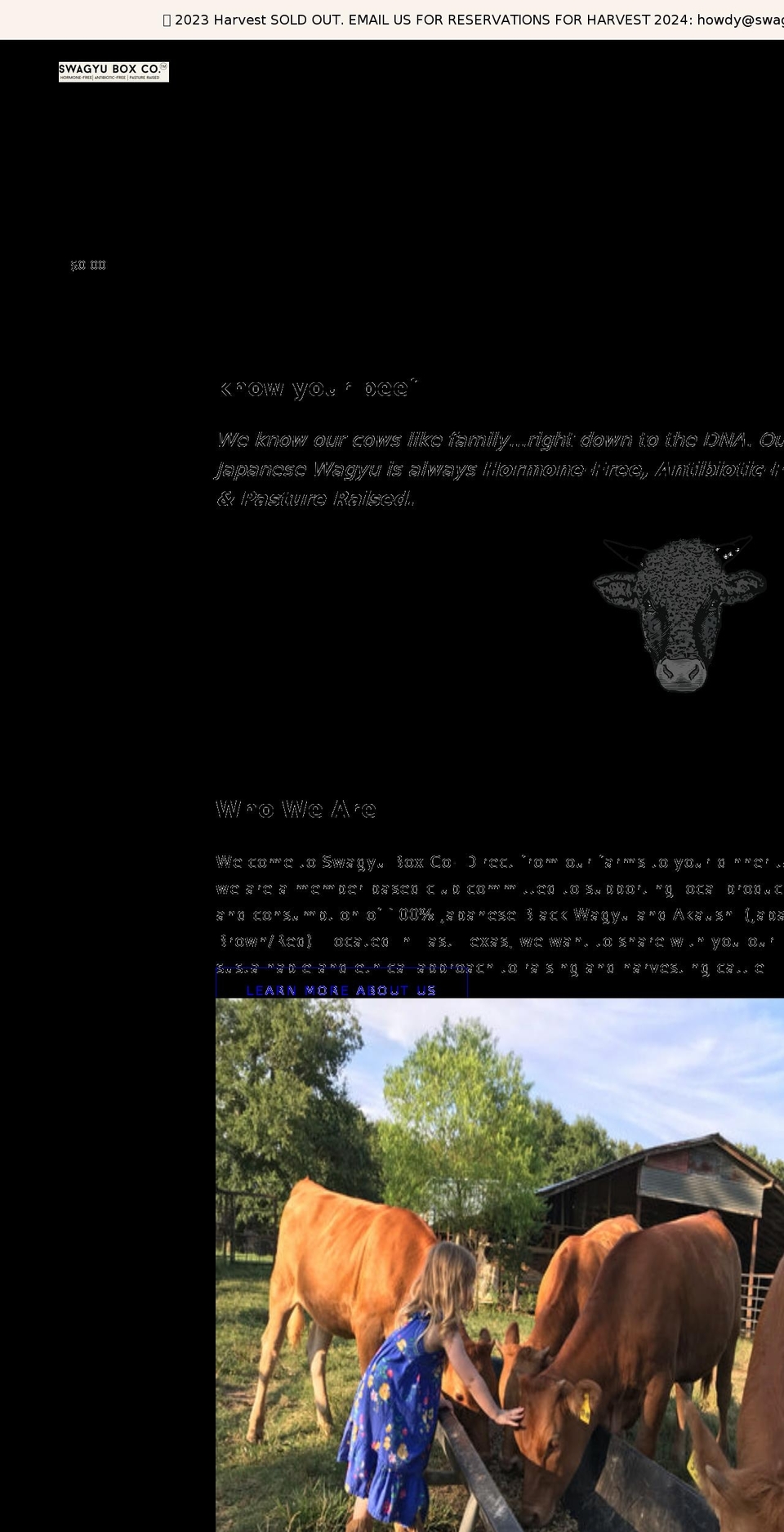 swagyubox.com shopify website screenshot