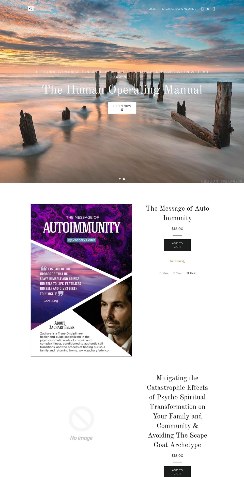 sword-and-thread.myshopify.com shopify website screenshot