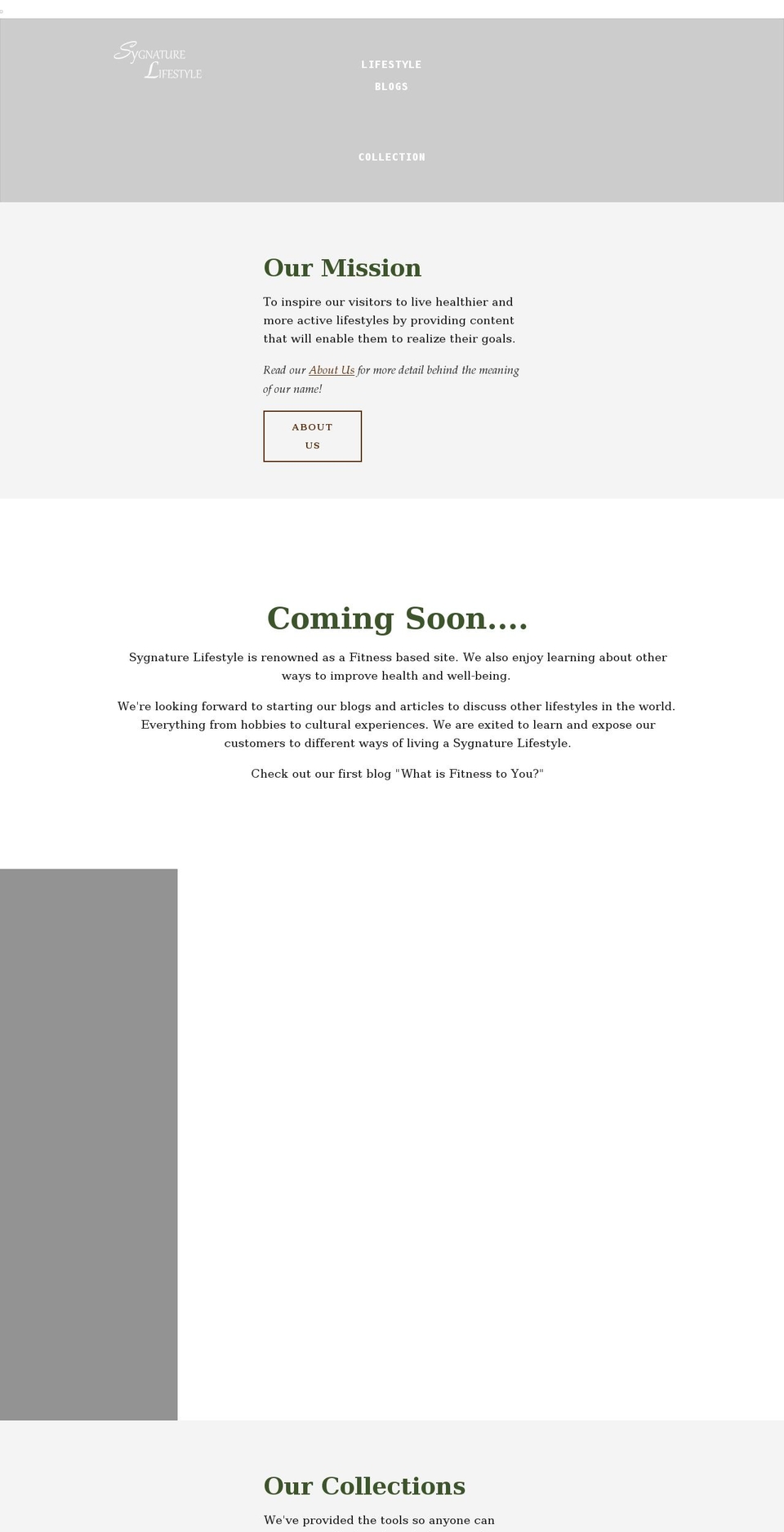 sygnaturelifestyle.com shopify website screenshot