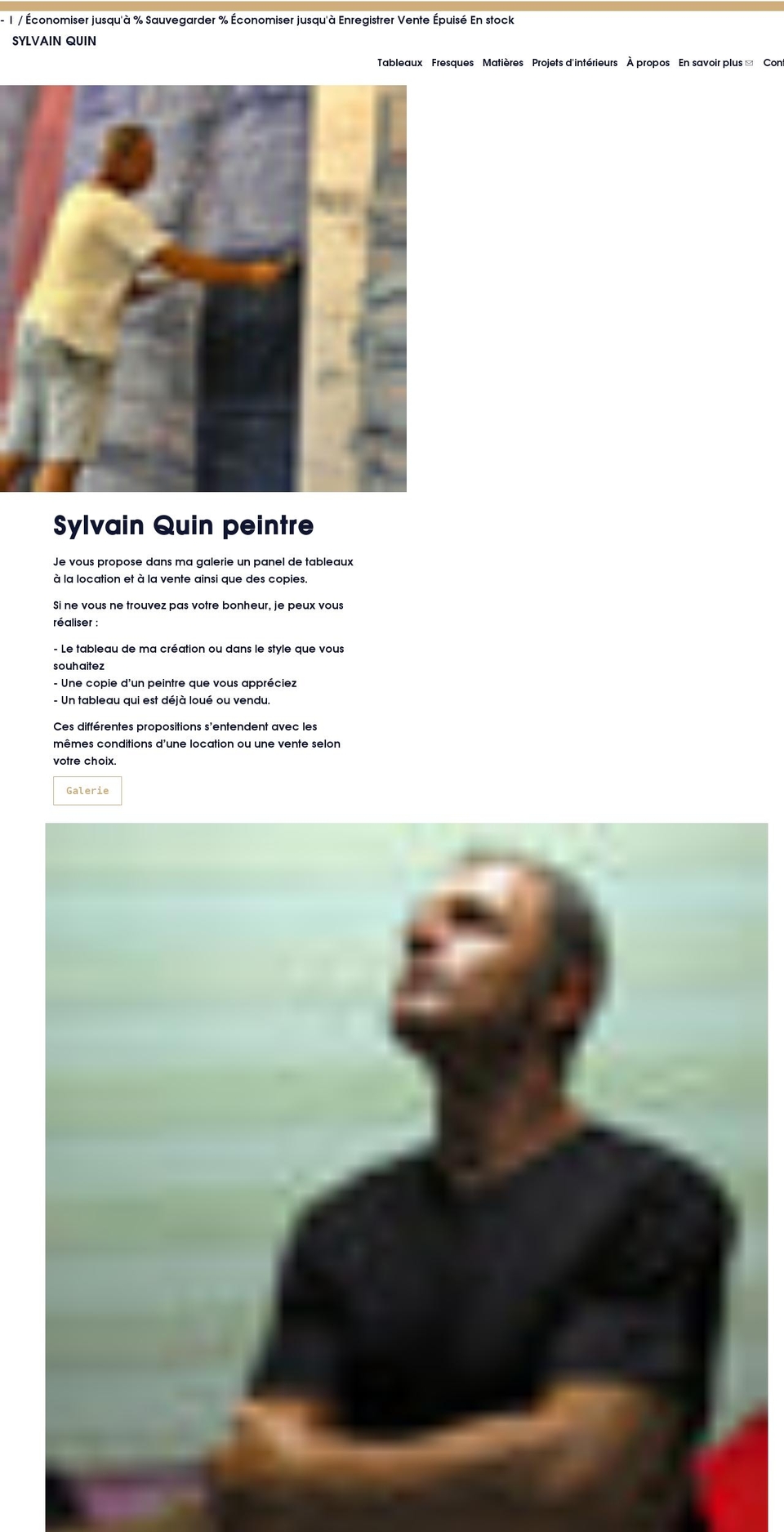 sylvainquin.fr shopify website screenshot