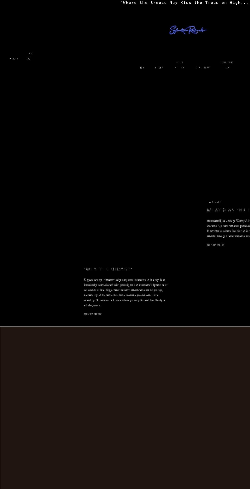 sylvesterrichards.com shopify website screenshot