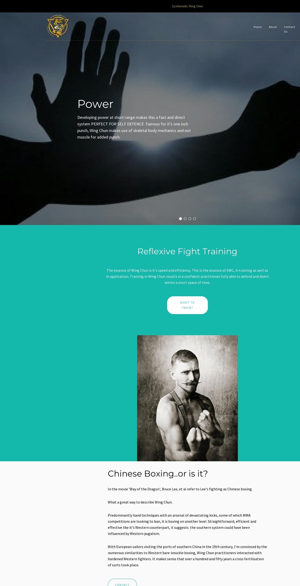 systematicwingchun.com — Shopify storefront screenshot