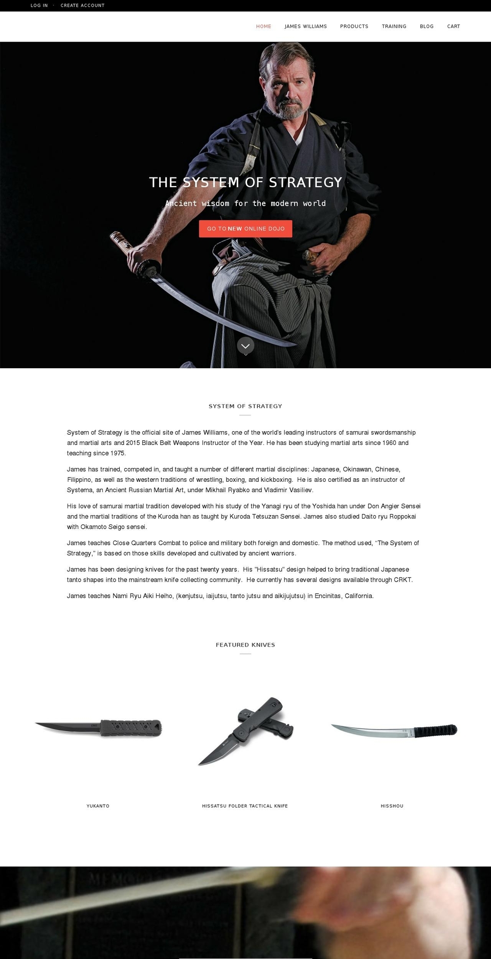 systemofstrategy.com shopify website screenshot