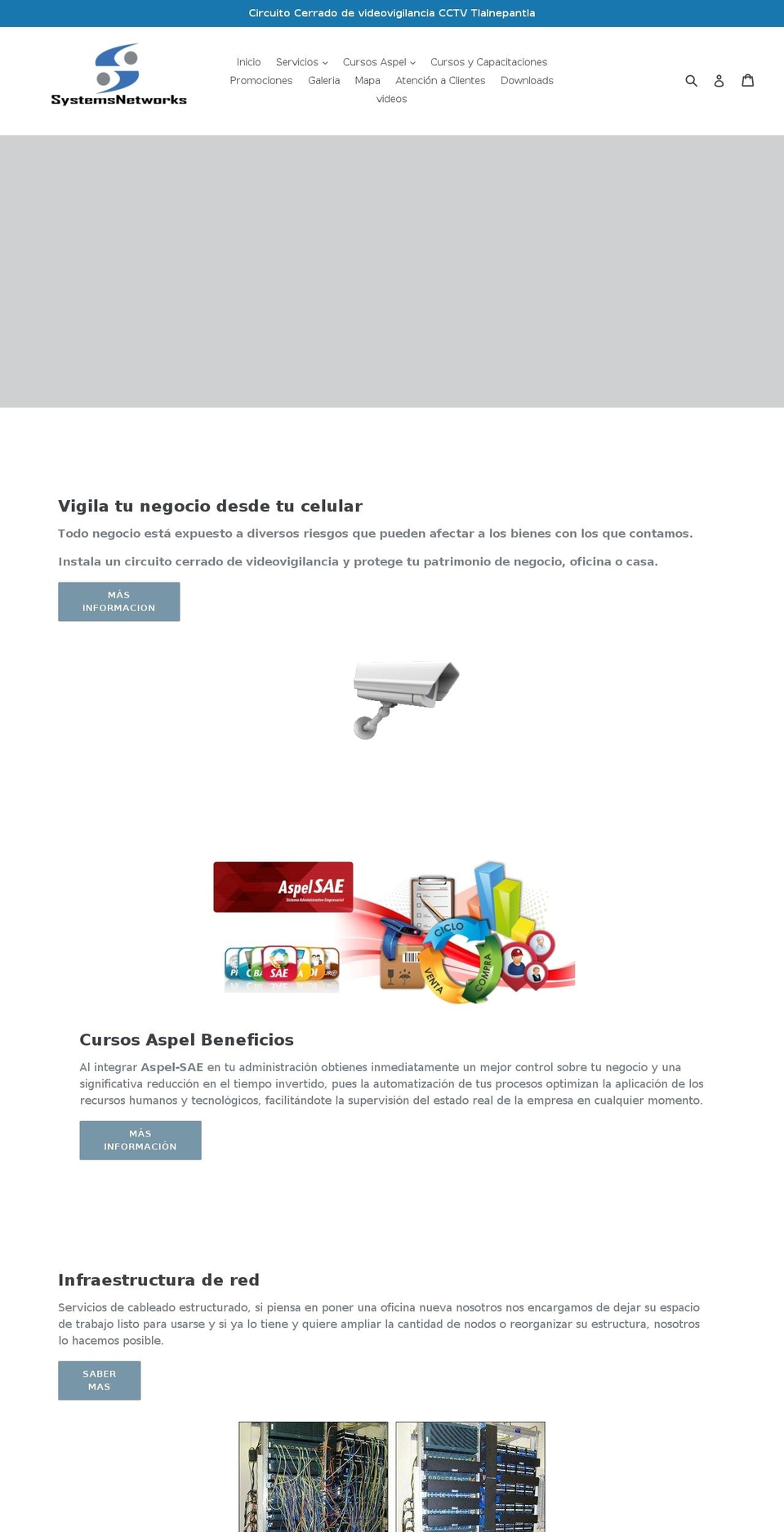 systemsnetworks.net shopify website screenshot